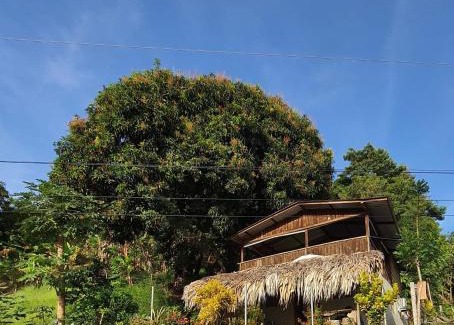 Necocli Casa | Cabaña Murringo a dos minutos en coche de Necobotes en Necoclí