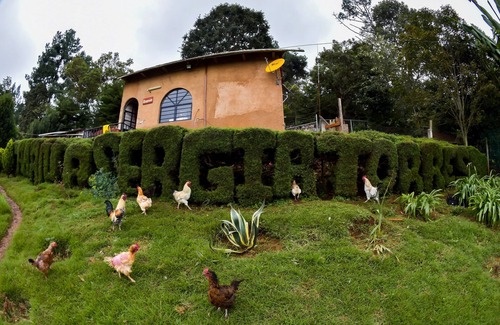 San Cristóbal de las Casas Cabina | Cabañas y Suites Sergia Torres
