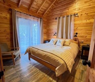 Pucon Casa | Cabaña Nativo