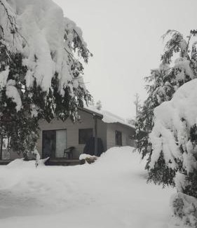 Curacautin Casa | Cabaña nieve, tinaja y vista al volcan