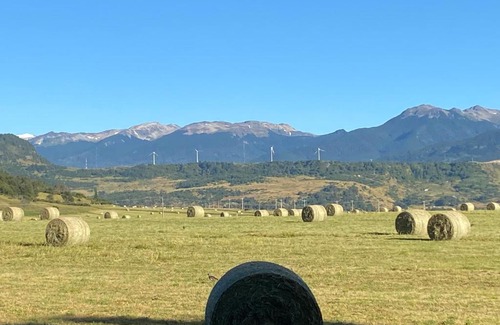 Coyhaique Casa | Cabaña Pampa Pinuer Coyhaique