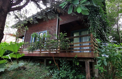 Conaripe Casa | Cabaña Pudomo en Coñaripe con Hot-tub exclusivo
