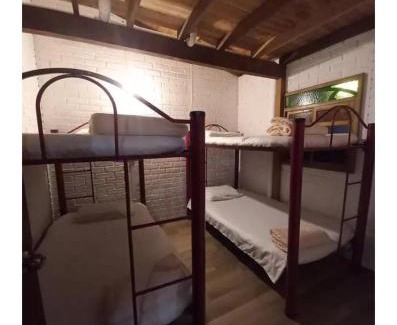 Cocorna Cabina | Cabaña Raíces del Bosque