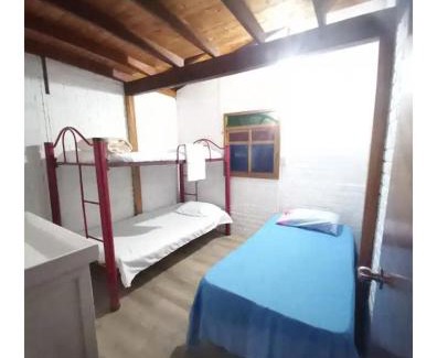 Cocorna Cabina | Cabaña Raíces del Bosque