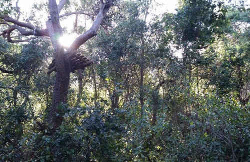 Olmue Casa | Cabaña, Refugio Exclusivo, Olmué, Parque Nacional La Campana