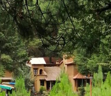Patzcuaro Complejo | Cabaña rodeada de naturaleza