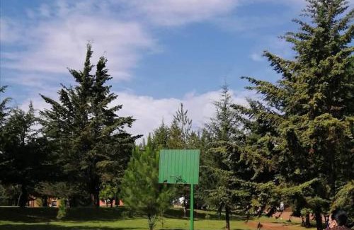 Patzcuaro Complejo | Cabaña rodeada de naturaleza