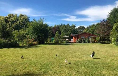 Las Chilcas Casa | Cabaña Rosita Pucon