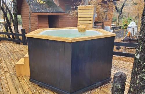 Pinto Chalet De Esquí | Cabaña Sol Nevado, Las Trancas