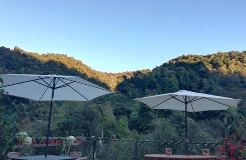 San Gerardo de Dota Cabina | Cabaña Tangara