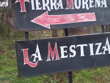 Mazamitla Cabina | Cabaña Tierra Morena