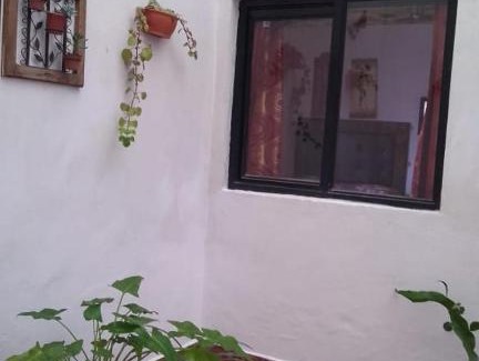 Mazamitla Cabina | Cabaña Tierra Morena