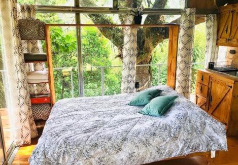 Concepcion Casa | Cabaña treehouse Mountain View
