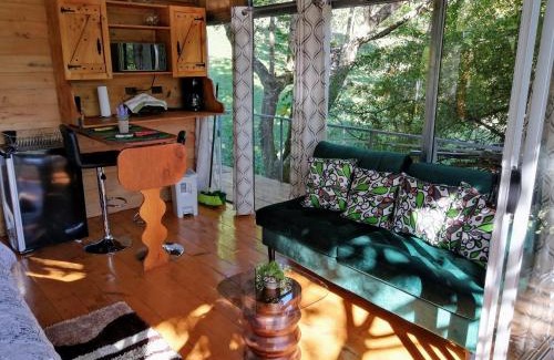Concepcion Casa | Cabaña treehouse Mountain View