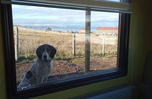 Puerto Natales Apartamento | Cabaña, Villa Bories