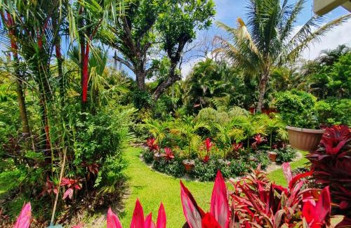 El Valle de Anton Cabina | Cabaña Villa Victoria