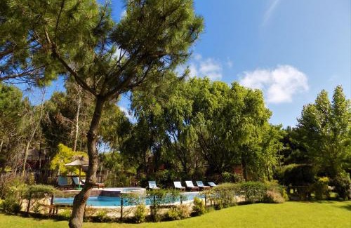 Santa Teresita Cabina | Cabañas Albapampa