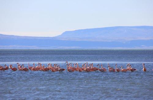 Macrozona Bahía Redonda y Primeros Faldeos Cabina | Cabañas Bahía Marina