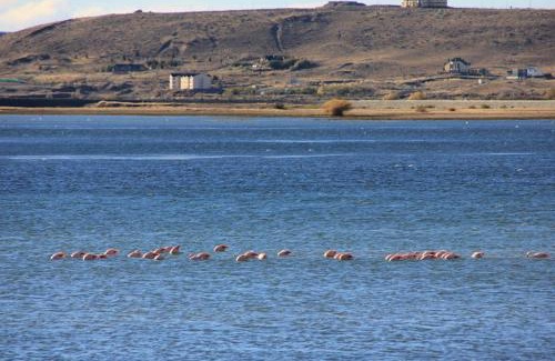 Macrozona Bahía Redonda y Primeros Faldeos Cabina | Cabañas Bahía Marina
