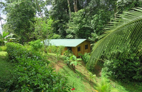 Bahía Drake Cabina | Cabañas Bajo Bosque Drake