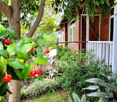 Santa Maria Apartamento | Cabañas Barú Dota