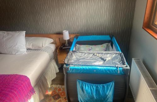 Punta Arenas Apartamento | Cabañas Bosque Austral