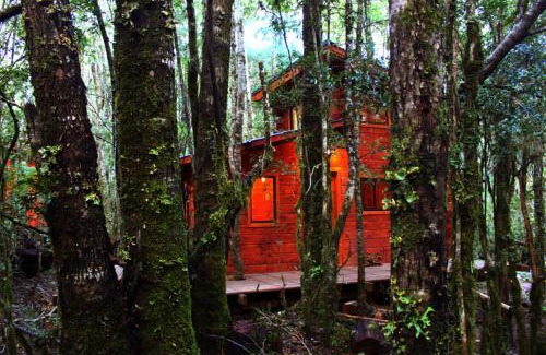 Panguipulli Cabina | Cabañas Bosque Milenario