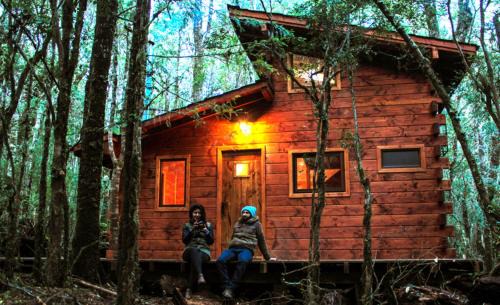 Panguipulli Cabina | Cabañas Bosque Milenario