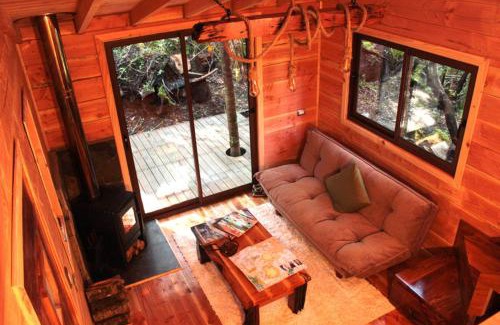 Panguipulli Cabina | Cabañas Bosque Milenario