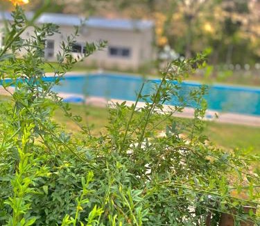 Paso de la Patria Apartamento | Cabañas Camping Malvinas Argentinas