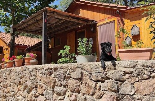 Peñascosa Otro | Cabañas Camping Sierra de Peñascosa
