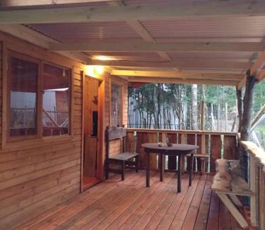 Conaripe Casa | Cabañas Coñaripe