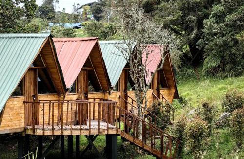 Choachi Otro | Cabañas del bosque