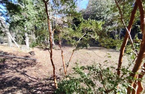 Melipeuco Apartamento | Cabañas Del Monte