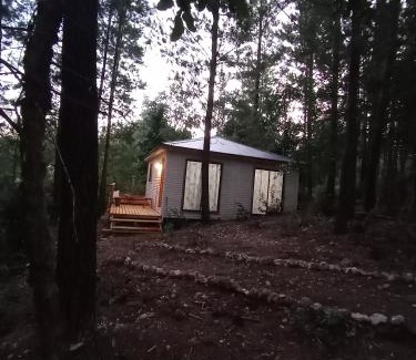 Constitucion Casa | cabañas eco chahuilco