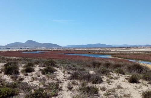 Coquimbo Casa | Cabañas ecológicas Tongoy