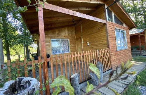 Curacautin Apartamento | Cabañas EcoSur - Chile