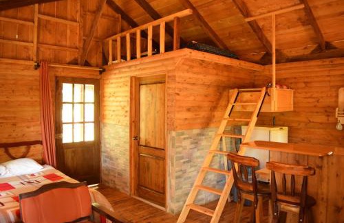Cantón de León Cortés Castro Chalet De Esquí | Cabañas El Coyote