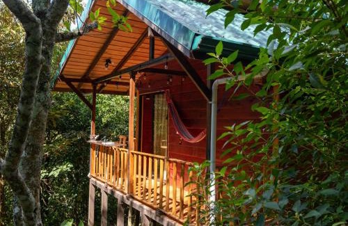 Cantón de León Cortés Castro Chalet De Esquí | Cabañas El Coyote