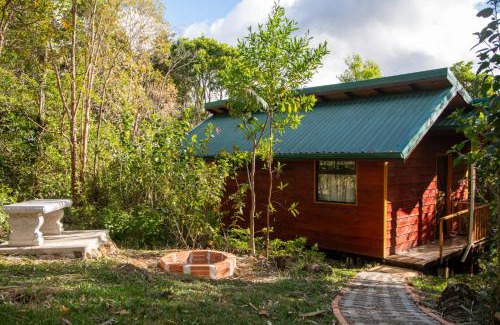 Cantón de León Cortés Castro Chalet De Esquí | Cabañas El Coyote