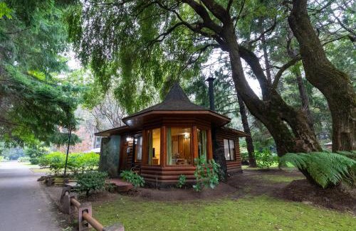 Pucon Cabina | Cabañas el Dorado Pucón
