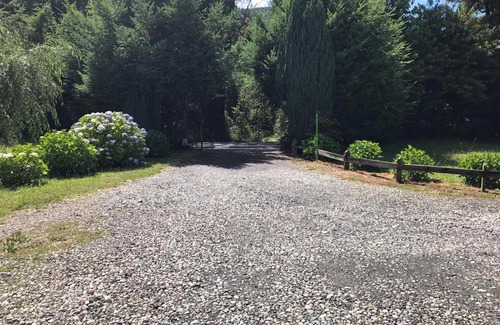 Pucon Casa | Cabañas el Mañio, a pasos de Ojos del Caburgua y playa Caburgua