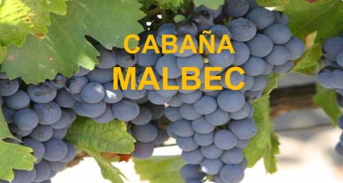Potrerillos Apartamento | Cabañas El Molino