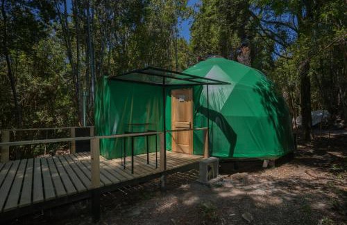Ensenada Chalet De Esquí | Cabañas Ensenada Bosque Nativo
