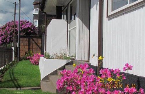 Osorno Cabina | Cabañas Entre Parques