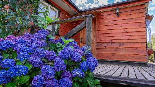 Puerto Varas Cabina | Cabañas Estrella del Sur