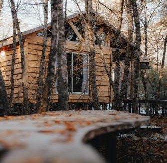 Pinto Chalet De Esquí | Cabañas Huilipan