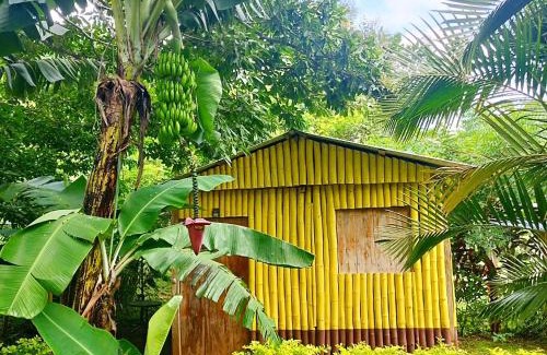 Catemaco Casa | Cabañas Ixaya