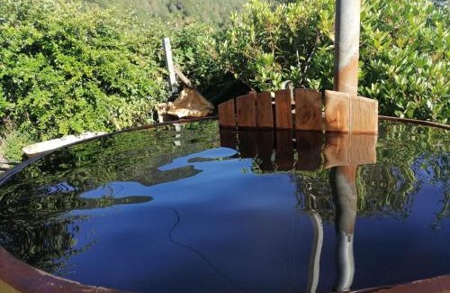 Panguipulli Casa | Cabañas Jatrima