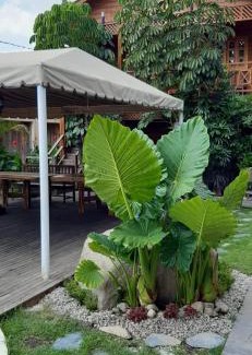 Atlixco Otro | Cabañas La Finca